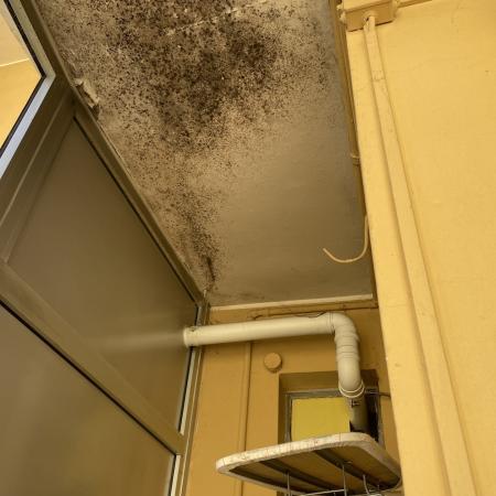 Muffa Soffitto 1
