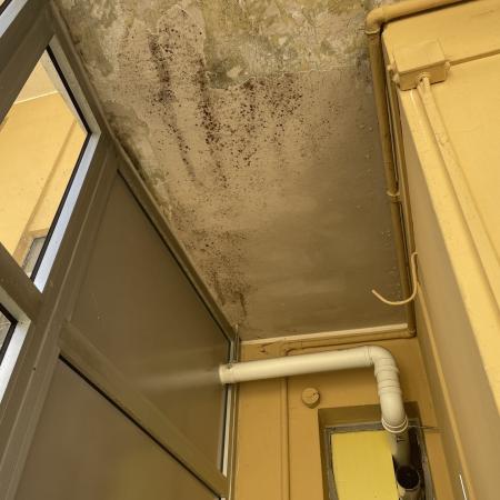 Muffa Soffitto 2