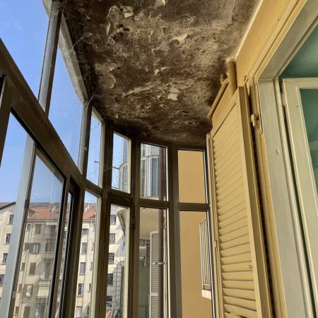 Muffa Soffitto 4