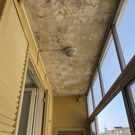 Muffa Soffitto 8