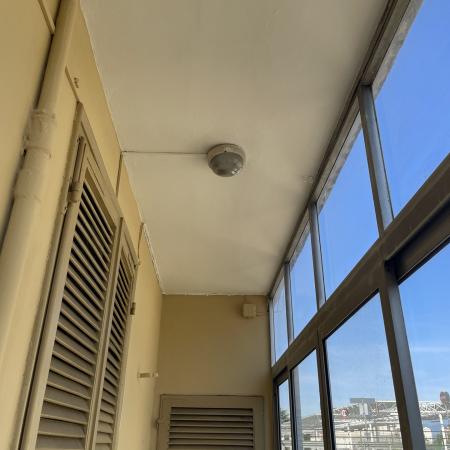 Muffa Soffitto 9